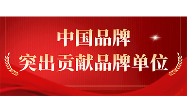 J9国际集团电梯获评“凸起贡献品牌单元”，设置中国品牌标杆力量
